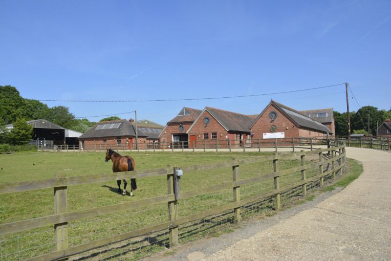 Yard buildings and paddock