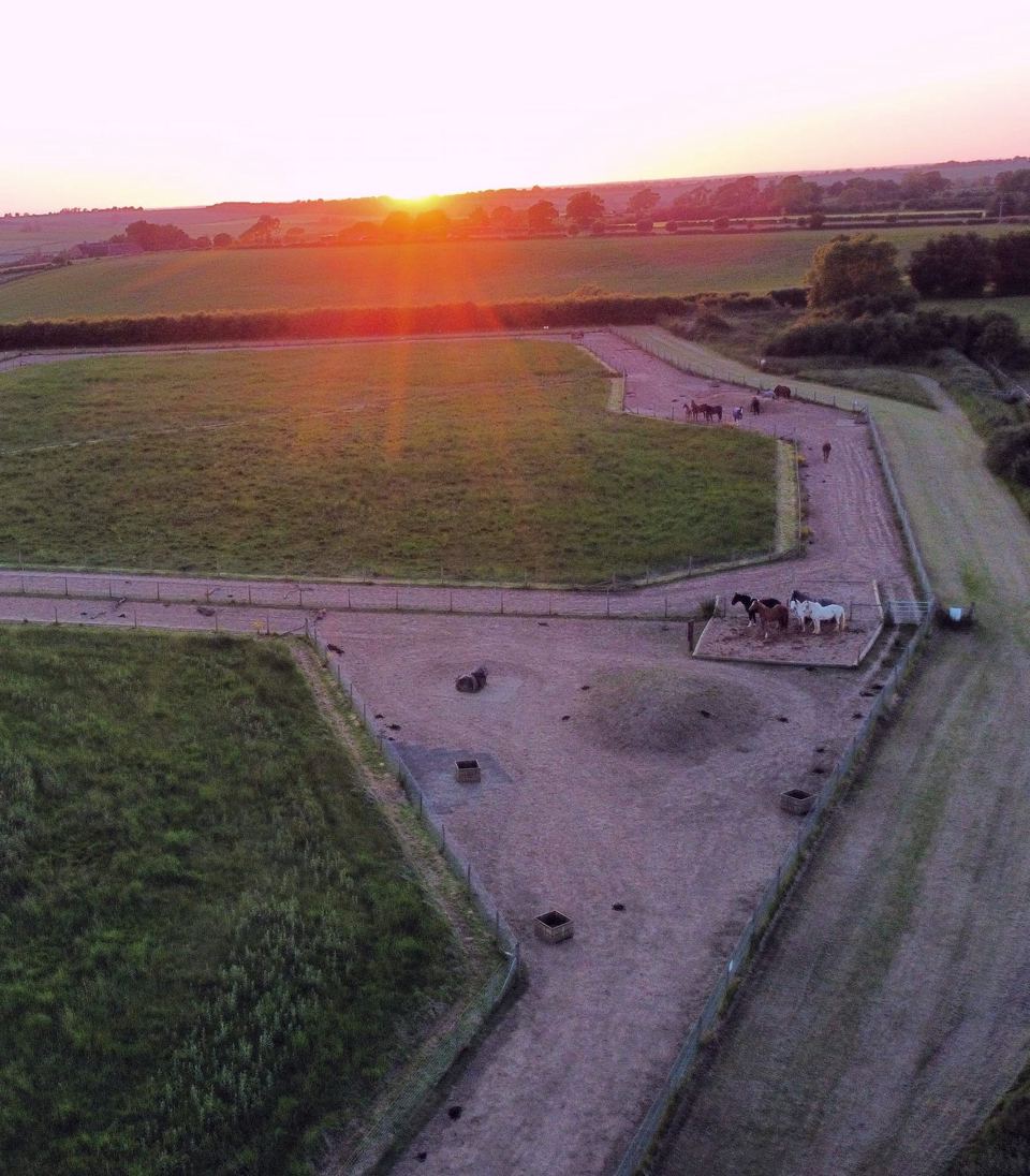Aerial view of yard and fields