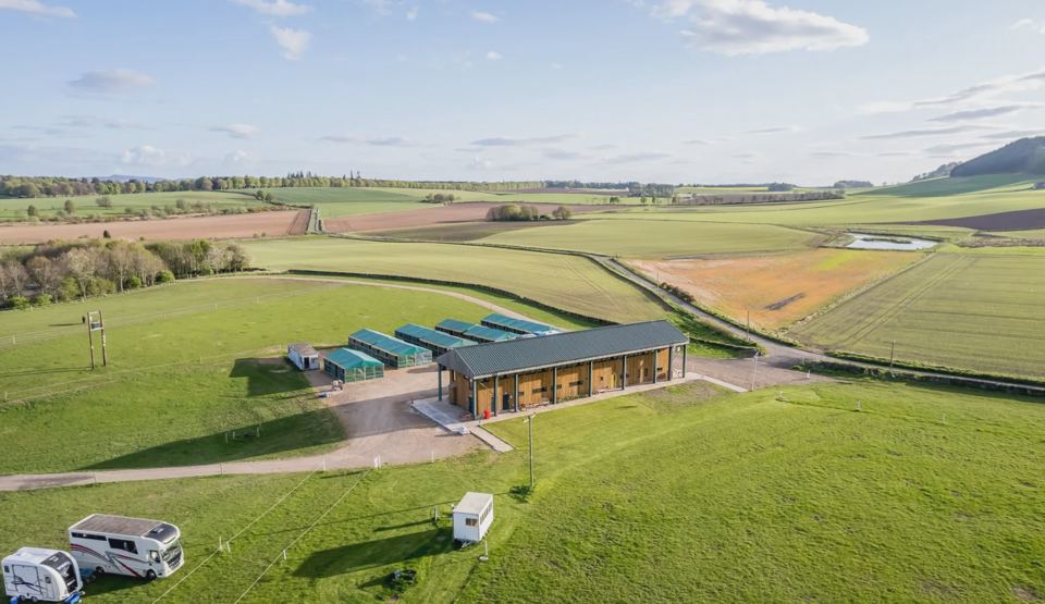Aerial view of yard and fields