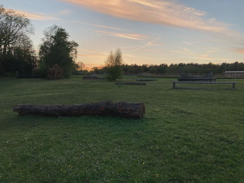 Field with jumps