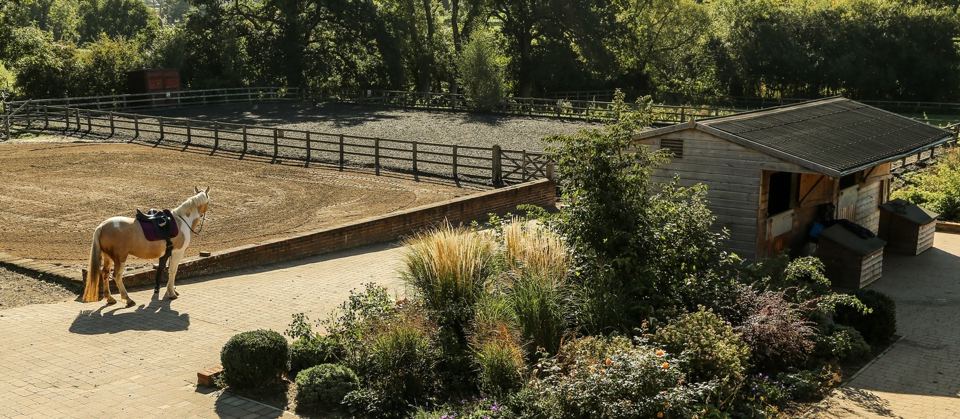 Outdoor arena