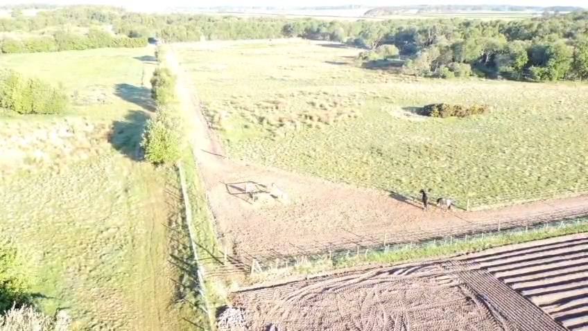 Aerial view of fields