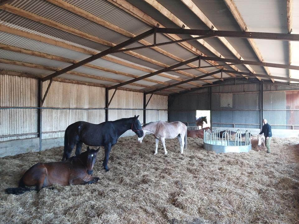 Indoor horse barn