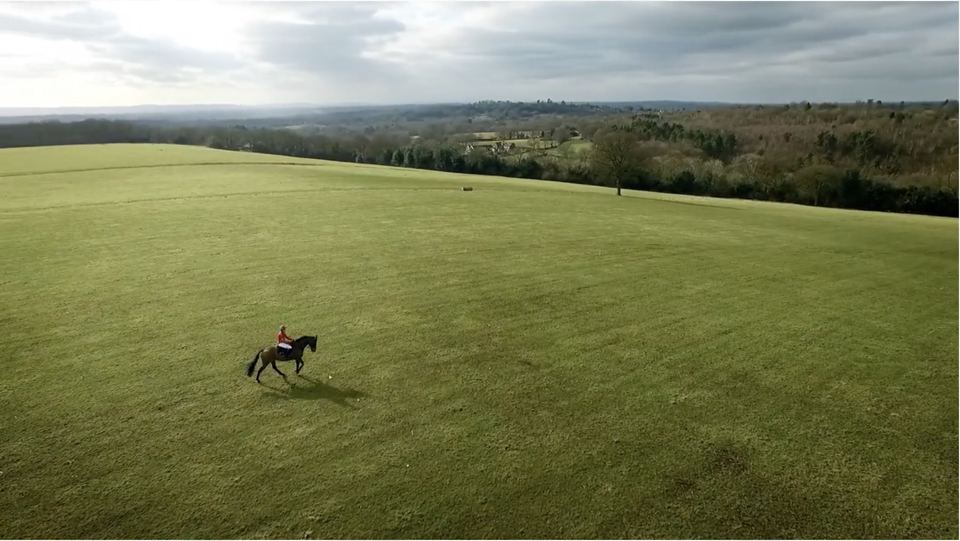 Field and horizon