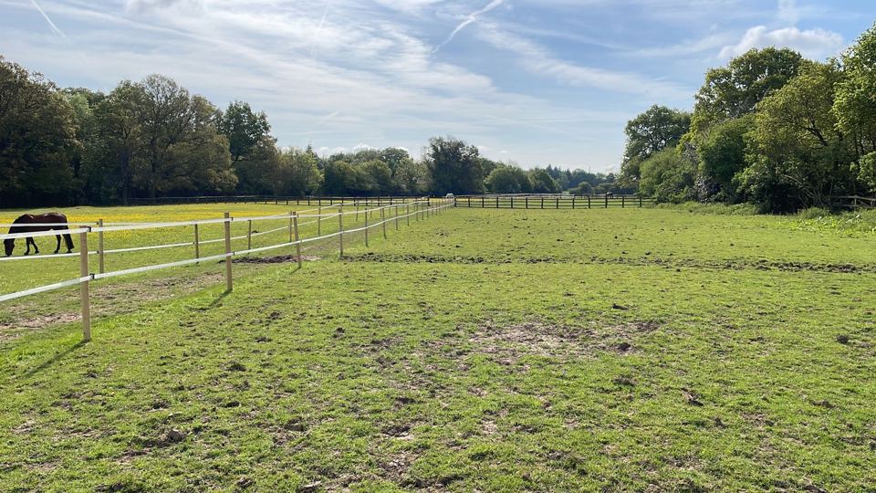Field with fence