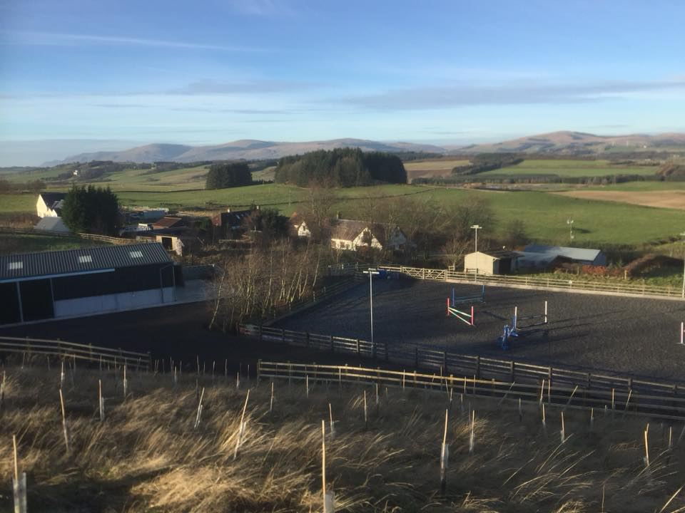 Yard and arena view