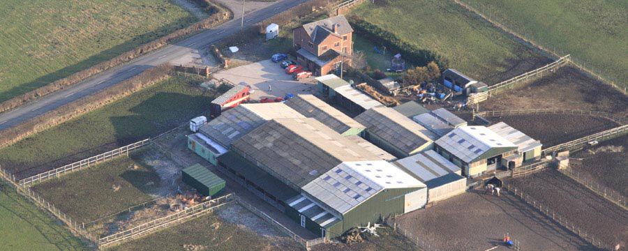 Aerial view of yard