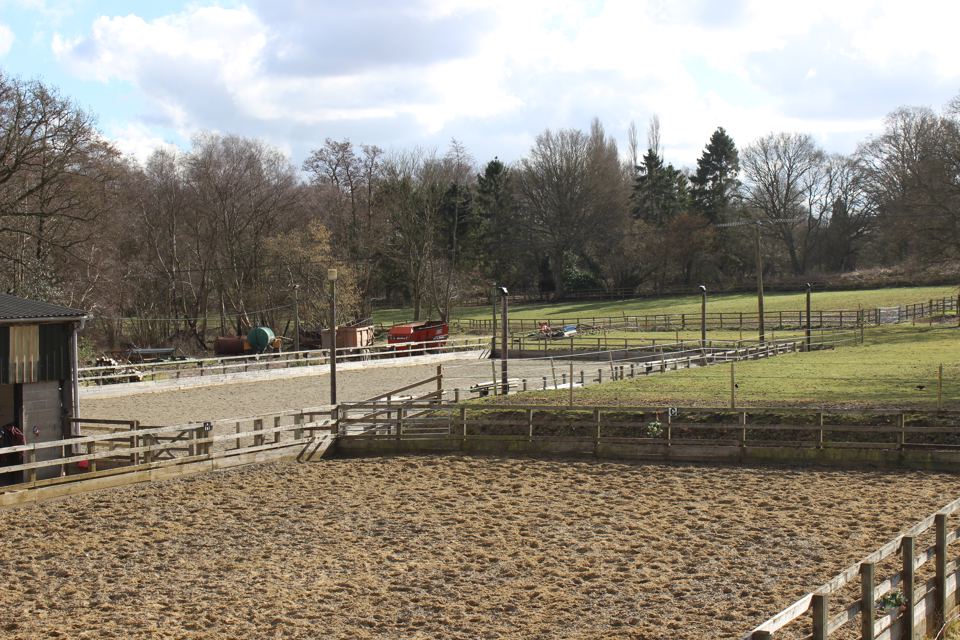 Outdoor arena
