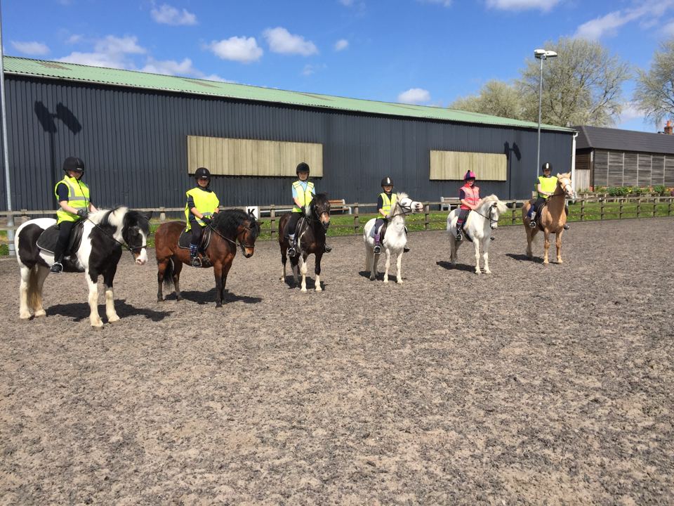 Outdoor arena with ponies