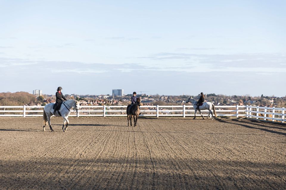 Wide arena
