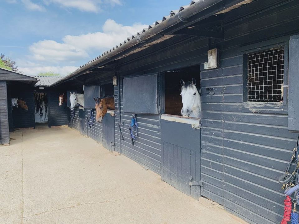 Stable row