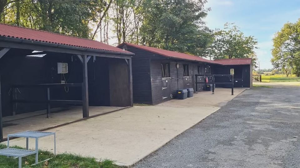 Stable yard