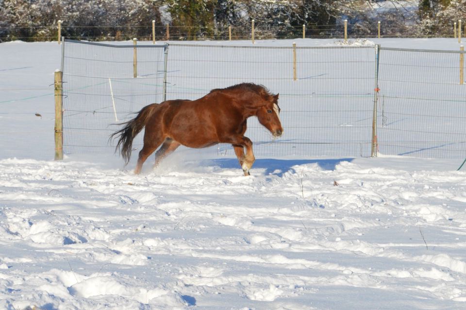 Arena beside stables
