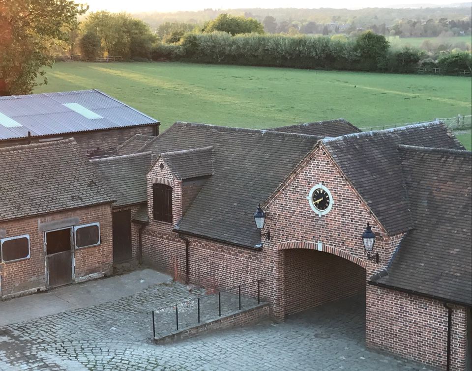 Aerial view of the yard