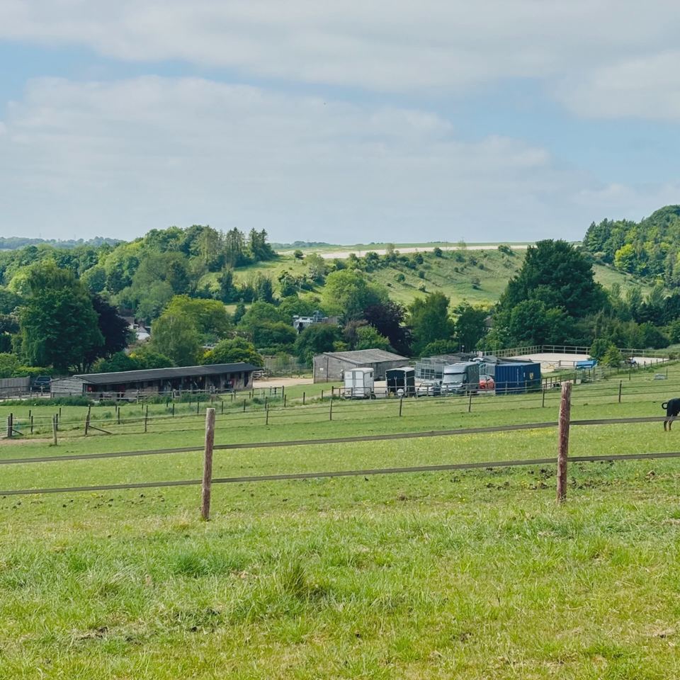 Yard and fields