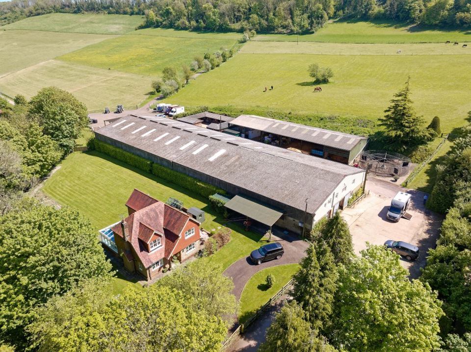 Aerial view of the yard