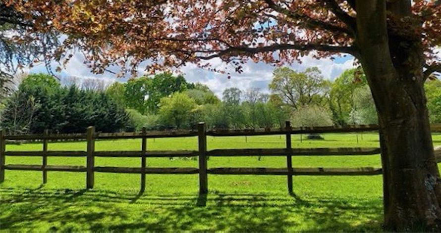 Paddock with post and rail