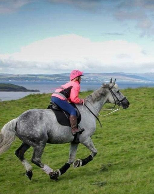 Rider on hillside with view