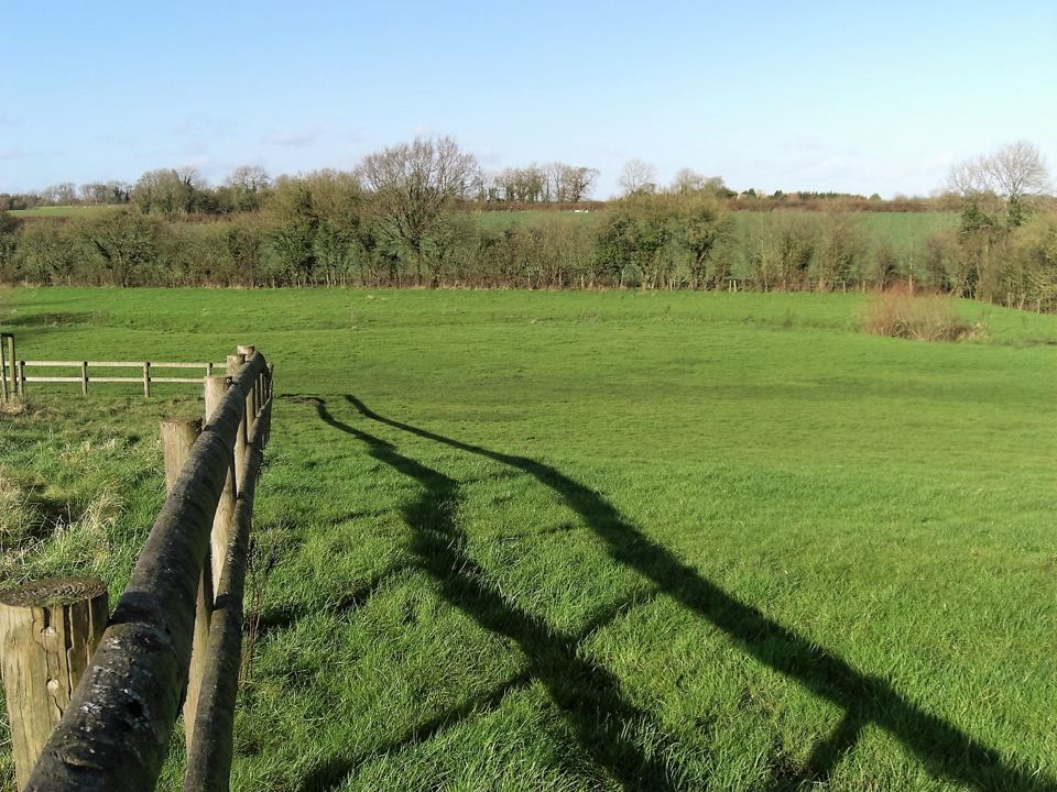 Field with long shadows