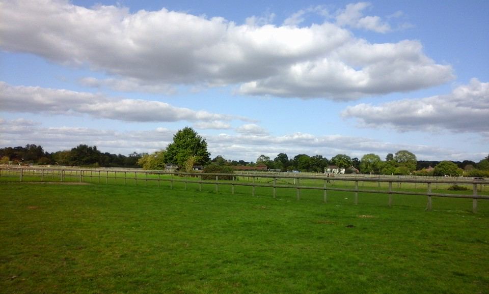 Grass field with fencing