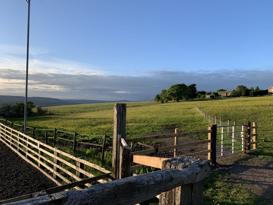 Field gate and fencing