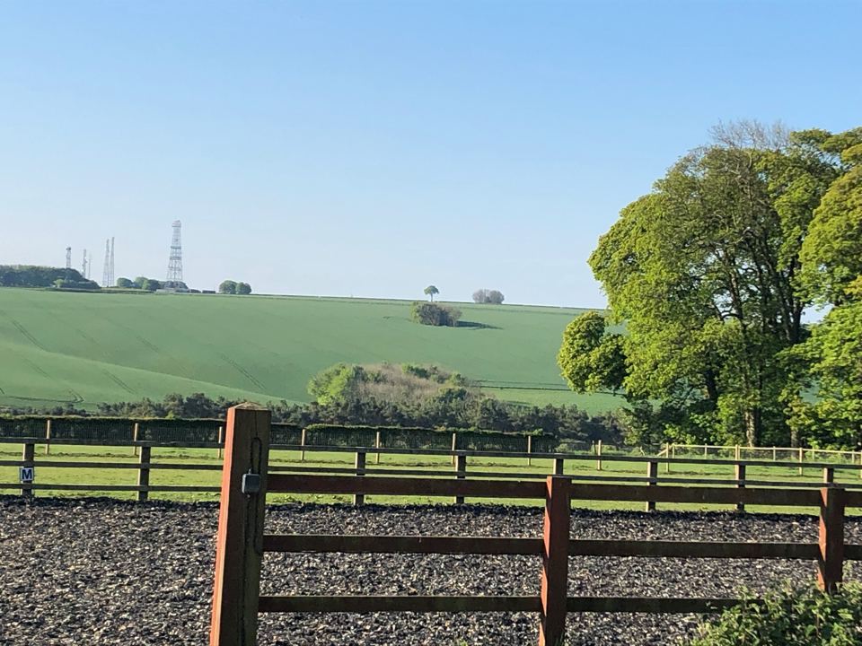 Fields and fencing