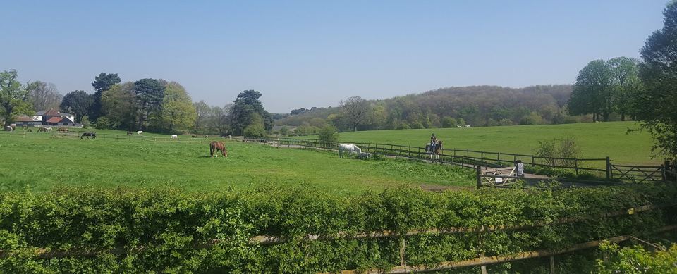 Fields and paddocks