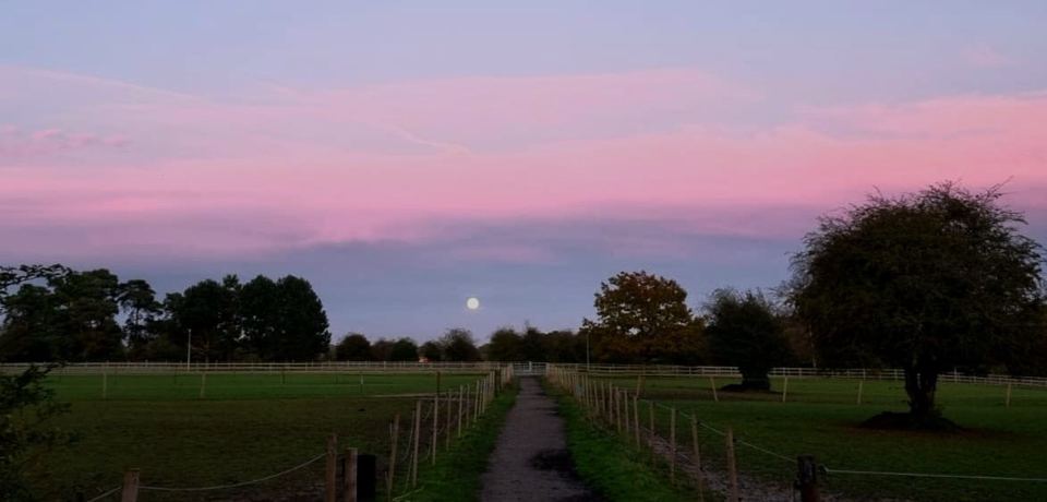 Fields at sunset
