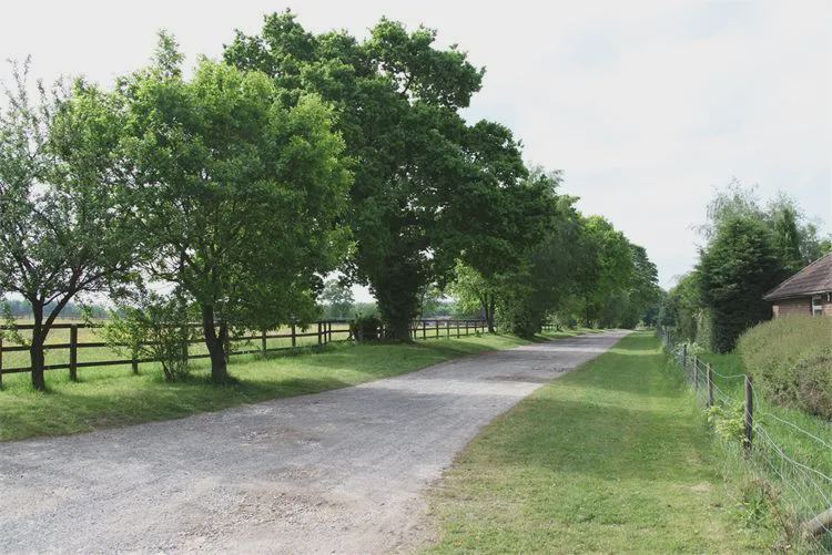 Tree-lined track by fields