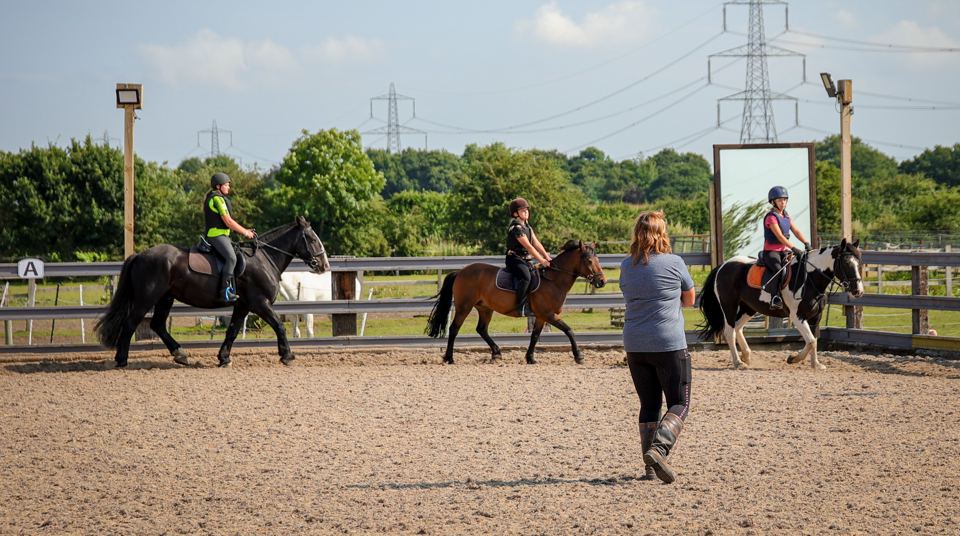 Ponies in outdoor arena