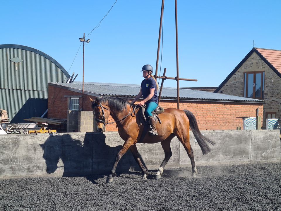 Arena beside farm buildings