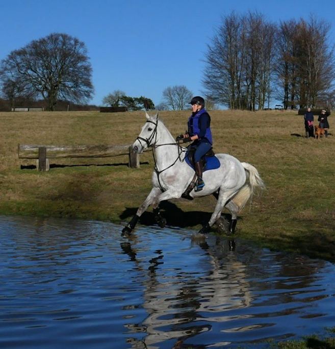 Horse and rider by lake