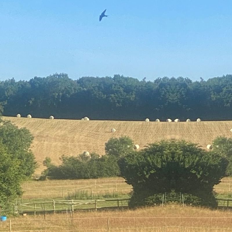 Fields and hay bales