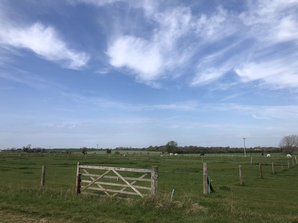 Field with gate