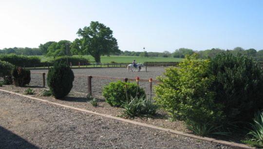 Arena beside gardens