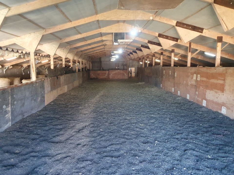 Covered barn with stalls