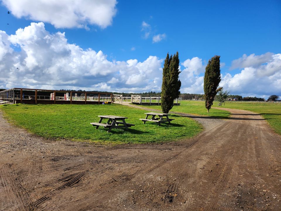 Yard driveway and picnic area