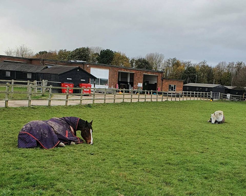 Stable block and paddock