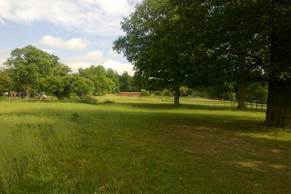 Field view