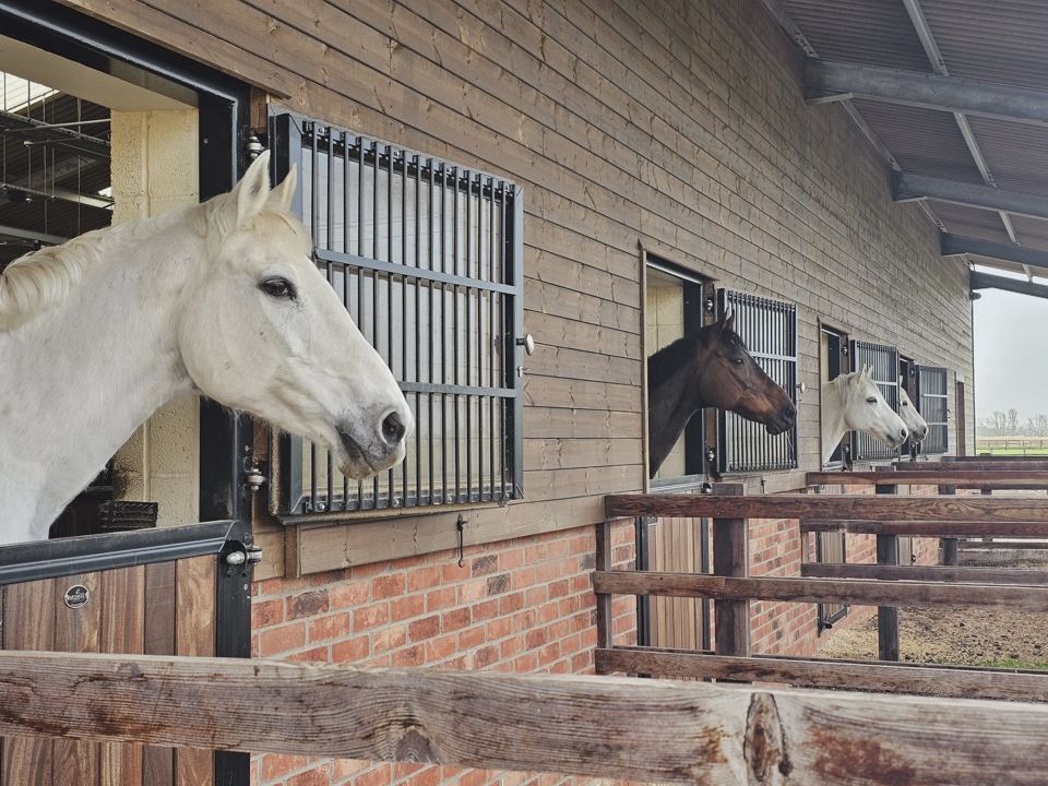 Stable block with horses