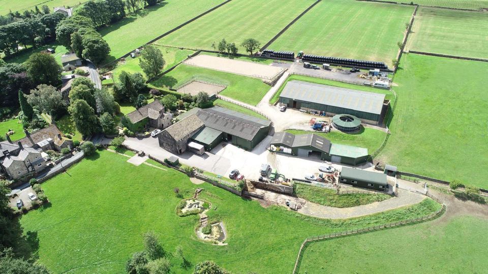 Aerial view of yard
