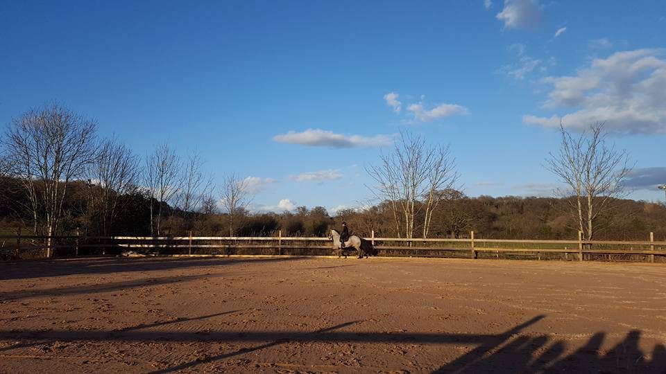 Outdoor arena
