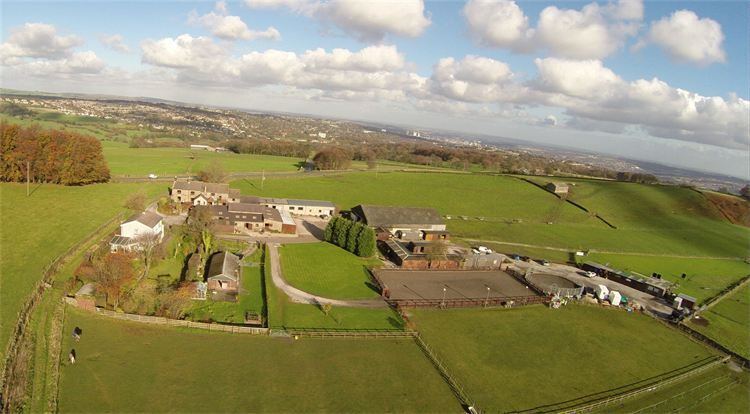 Aerial view of yard