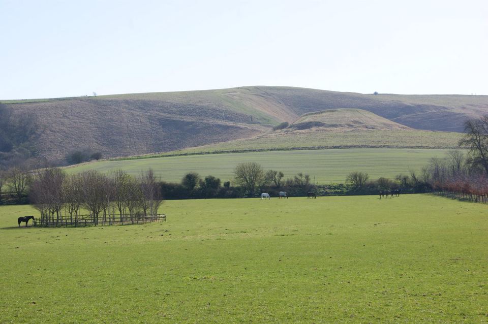 Fields and hills view