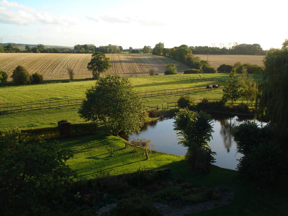 Pond and fields view