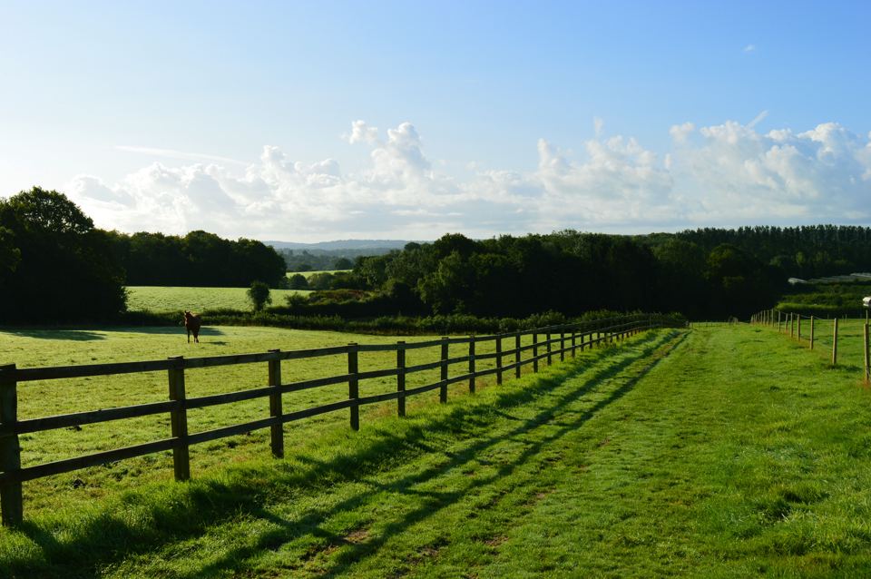 Fields and fence