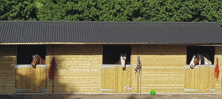 Stable block with horses