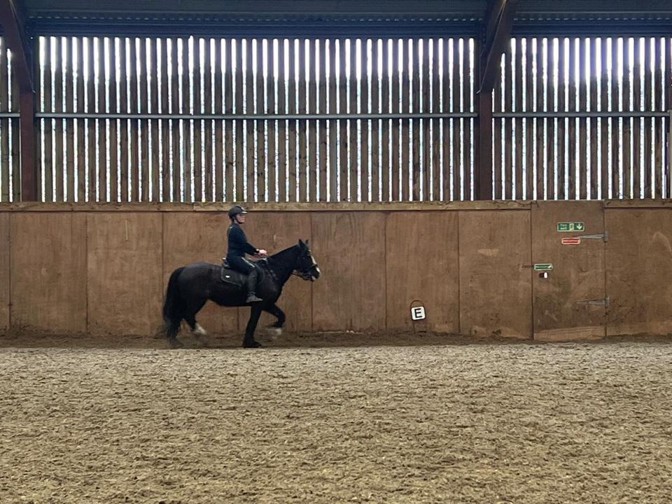 Rider in arena