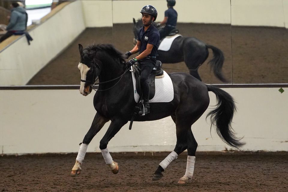 Rider in arena