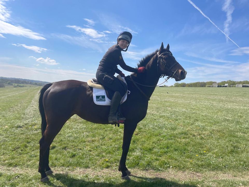 Rider in open field
